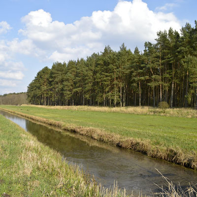 Bild vergr&ouml;&szlig;ern: Wassergraben in den Warnowwiesen