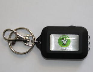 Bild vergr��ern: Schl�sselanh�nger mit LED
