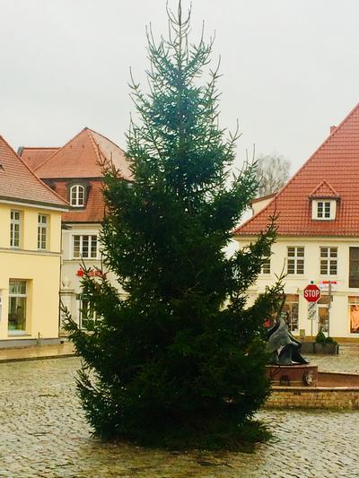 Bild vergr��ern: Weihnachtsbaum Markt 
