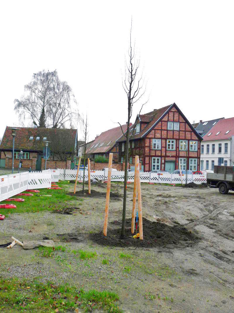 Bepflanzung Kirchenplatz