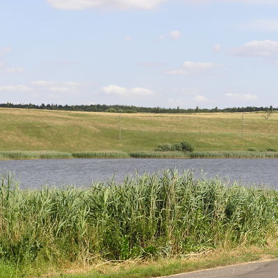 Blick auf den Boitiner See.