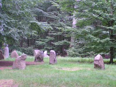 Bild vergr&ouml;&szlig;ern: Boitiner Steintanz: Im Kreis angeordnete Steine in einer Waldlichtung.