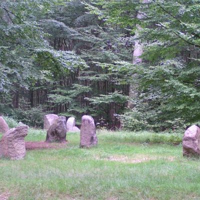 Boitiner Steintanz: Im Kreis angeordnete Steine in einer Waldlichtung.
