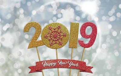 Bild vergr��ern: Happy New Year