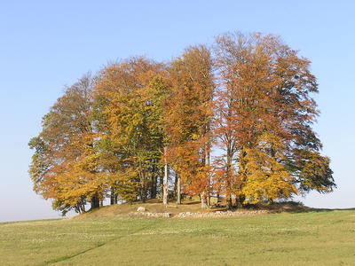 Bild vergr&ouml;&szlig;ern: Das Hünengrab bei Katelbogen zeigt Herbstlaub an den Bäumen.