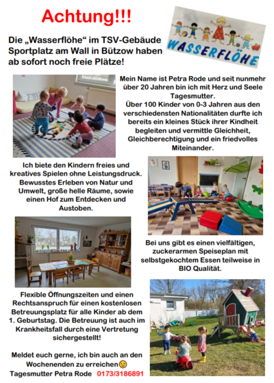 Bild vergr&ouml;&szlig;ern: Wasserflöhe
