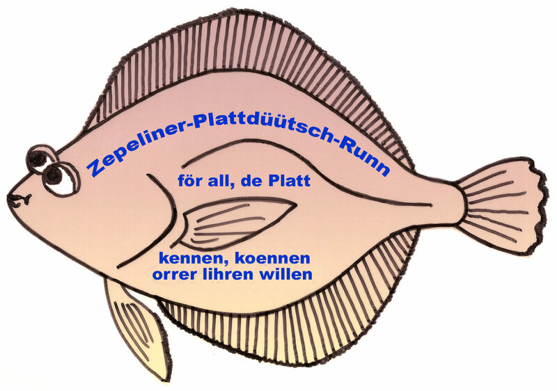 Scholle Logo aktuell