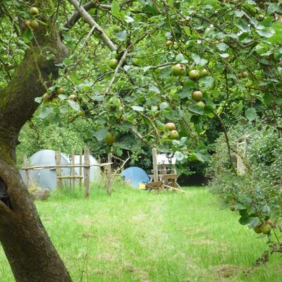 Bild vergr&ouml;&szlig;ern: Camping Streuobstwiese (1)