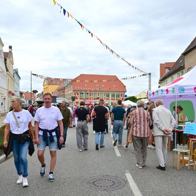 Bild vergr&ouml;&szlig;ern: B&uuml;tzower G&auml;nsemarkttage 2026