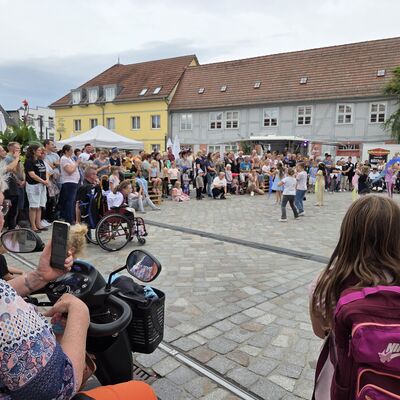 Bild vergr&ouml;&szlig;ern: G&auml;nsemarkttage 2026 Stefanie H&ouml;ter (1)