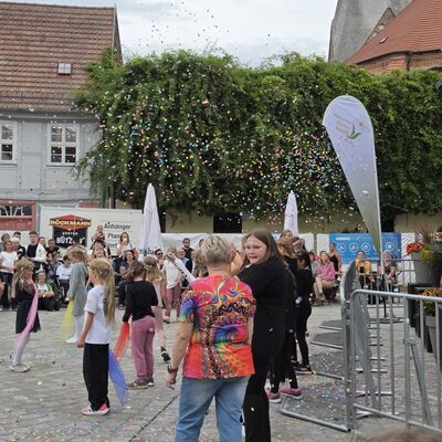 Bild vergr&ouml;&szlig;ern: G&auml;nsemarkttage 2026 Stefanie H&ouml;ter (2)
