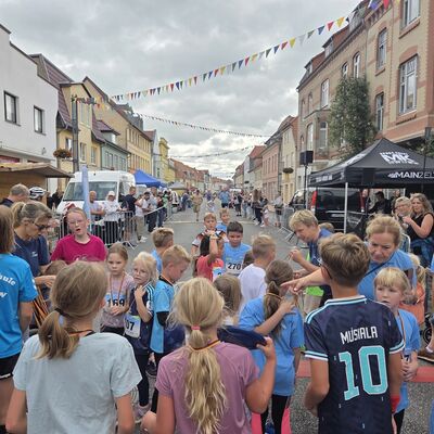 Bild vergr&ouml;&szlig;ern: G&auml;nsemarkttage 2026 Stefanie H&ouml;ter (13)