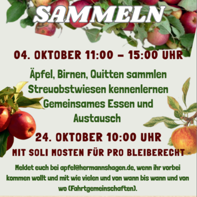 Apfelsammeln