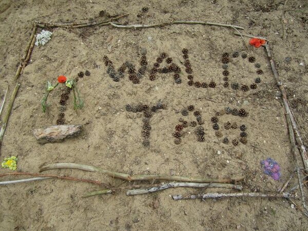 Bild vergr&ouml;&szlig;ern: Waldtag
